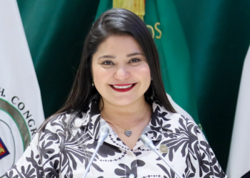 Diputada propone crear la figura de divorcio sin expresión de causa.