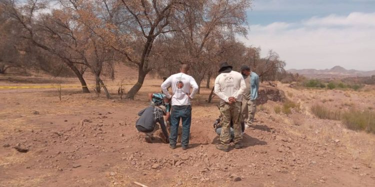Localizan fosa clandestina en Nogales