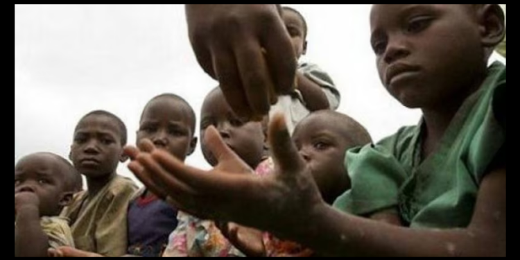 Hambre extrema bate récord: ONU alerta por 295 millones de afectados