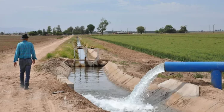 SLRC cuenta con agua suficiente para cultivos por tratado binacional; descartan sequía