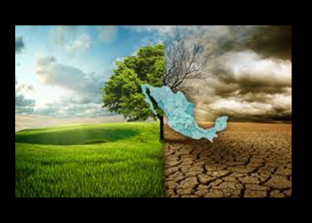 Presentan herramienta para impulsar el financiamiento climático en proyectos de Gobiernos