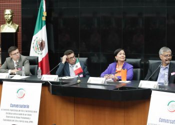 Analizan en el Senado creación de organismo internacional para regular la explotación de litio