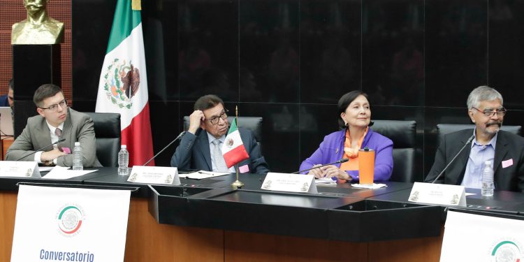 Analizan en el Senado creación de organismo internacional para regular la explotación de litio