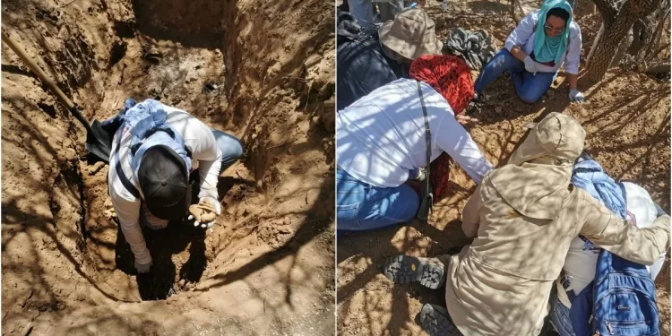 Alexia desapareció en 2023 y Ulises en 2024, sus identificaciones fueron halladas junto a 6 cuerpos en Sonora