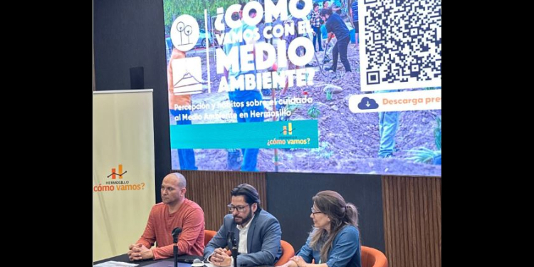 Cuáles son los principales problemas en materia ambiental de Hermosillo?