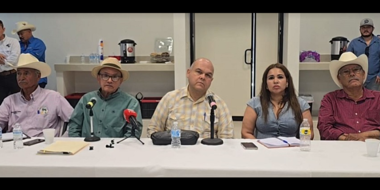 Relanzan productores y asociaciones civiles el proyecto del PLHINO del Bienestar para el Sur de Sonora