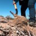 Suman 7 osamentas localizadas en fosas de Bahía de Kino y de Hermosillo