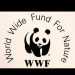 Hermosillo recibirá reconocimiento por la WWF, organización internacional de cuidado al medio ambiente