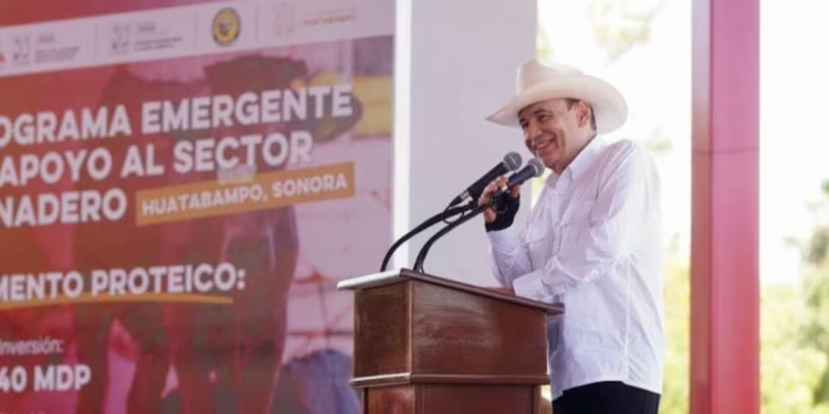 Bajan homicidios en Sonora, dice el Gobierno estatal