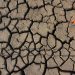 Piden declarar sur de Sonora zona de desastre natural por sequía