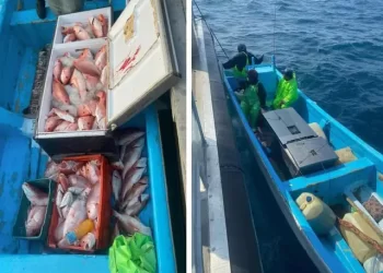 EU procesa a pescadores mexicanos por captura ilegal de huachinango en el ‘Golfo de América’