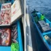 EU procesa a pescadores mexicanos por captura ilegal de huachinango en el ‘Golfo de América’