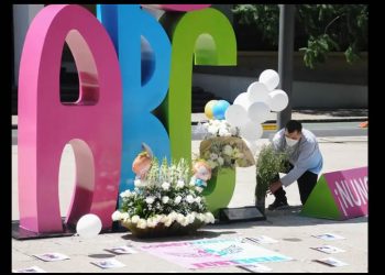 La ABC marcó el fin de la subrogación