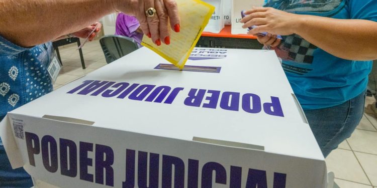 ¿Candidatos de Sonora que contendieron en la elección del Poder Judicial, volverán a participar? Hay quienes piensan que sí