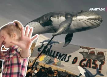 Proyecto Saguaro: Gasoducto provocará gran daño ambiental