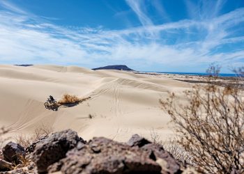 RALLY 101: ENFRENTANDO EL RALLY SONORA 2025