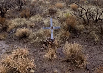 Traficantes y migrantes usan vías más peligrosas para entrar a Estados Unidos