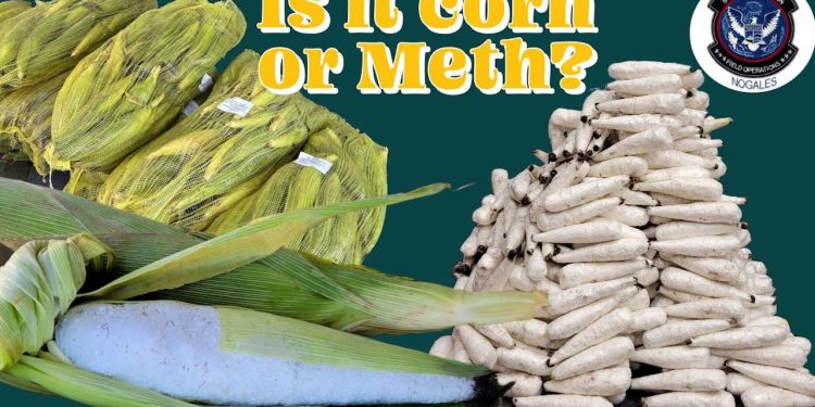 Aseguran cargamento de droga disfrazado como mazorcas de maíz en la frontera entre Sonora y Arizona