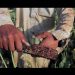 Campesinos y caciques, los pioneros del negocio del opio en el noroeste mexicano