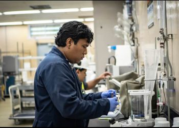 La fábrica de moscas estériles en Panamá: el arma para frenar al gusano barrenador en México