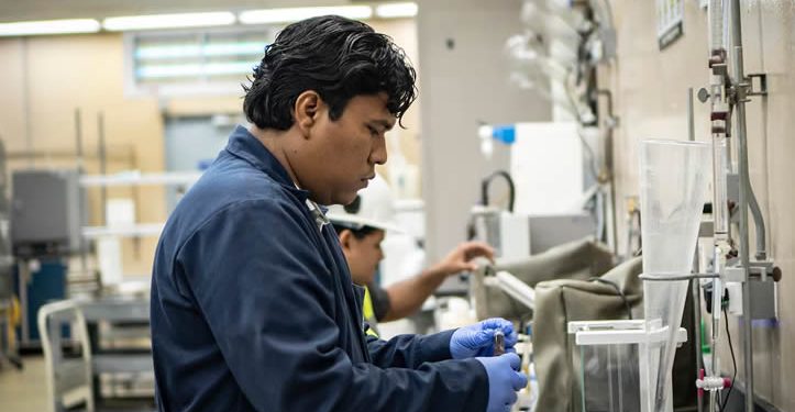 La fábrica de moscas estériles en Panamá: el arma para frenar al gusano barrenador en México