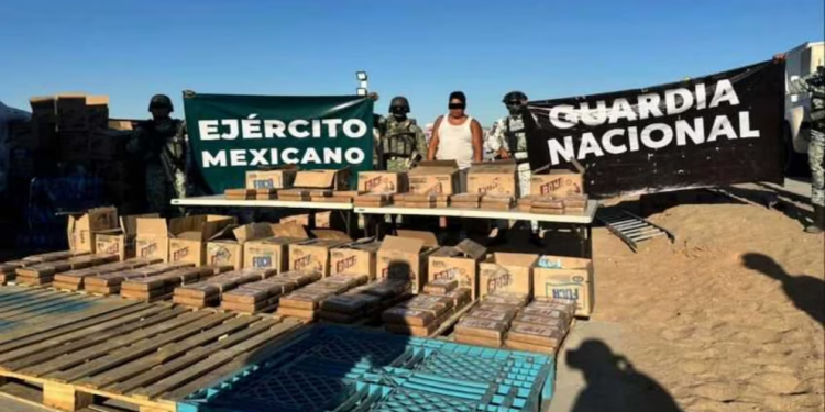 Detienen en Sonora a una persona con cocaína oculta entre detergente y con valor millonario