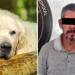Hombre Envenena con Carne a Perrito ‘Love’ Solo Porque le Ladró en Hermosillo