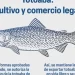 Senado usa imagen falsa de especie en peligro de extinción y biólogos dejan críticas