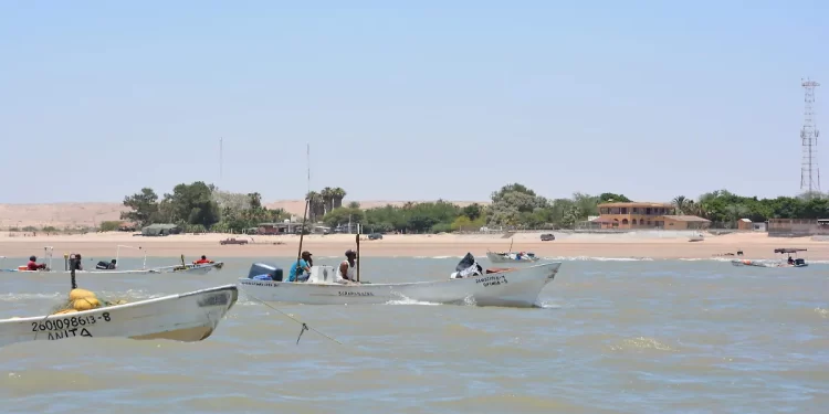 El Golfo de Santa Clara se queda sin temporada de aguamala