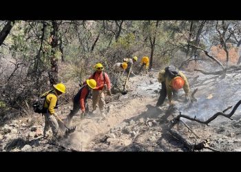Se activa nuevo incendio forestal en Sonora con afectación de 200 hectáreas en predio de Agua Prieta