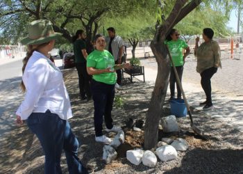 Activa Partido Verde jornadas de limpieza y reforestación en Hermosillo