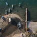 El narco en el mar: así fue como el crimen organizado expandió sus redes a la pesca ilegal
