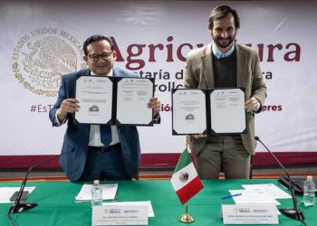 México y Emiratos Árabes realizarán 4º Festival Internacional de la Palma Datilera en Baja California y Sonora en noviembre de 2025
