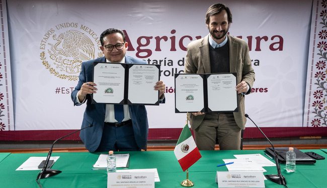 México y Emiratos Árabes realizarán 4º Festival Internacional de la Palma Datilera en Baja California y Sonora en noviembre de 2025
