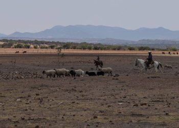Mientras el país mejora, Chihuahua, Sonora y Sinaloa enfrentan sequía extrema
