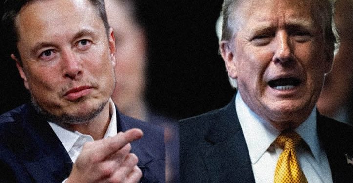 Tesla se desploma un 14% en bolsa tras pelea entre Trump y Musk