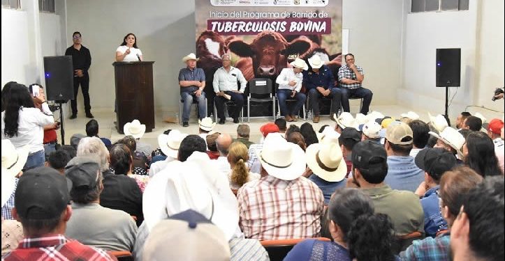 Implementan programa para detectar casos de Tuberculosis Bovina en SIRM