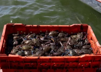 Ken Salazar: Falta de respeto incluir a México en lista de enemigos de EU; “somos socios, somos familia”, dice