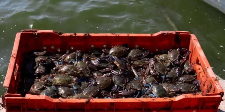 Ken Salazar: Falta de respeto incluir a México en lista de enemigos de EU; “somos socios, somos familia”, dice