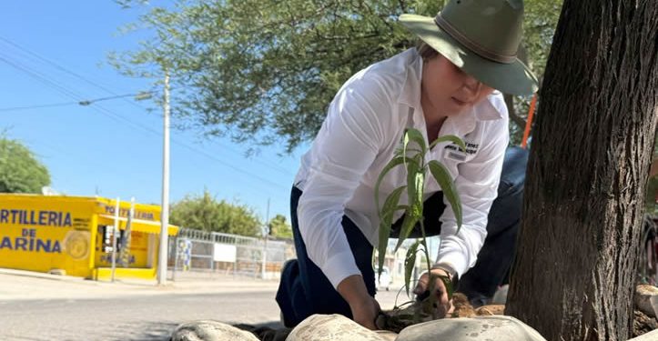 “Cada gota de agua cuenta en Hermosillo”: Partido Verde