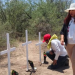 En el segundo día de rastrillo, Madres Buscadoras hallan dos cuerpos; FGJE amplía investigación en Hermosillo