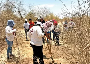 Hallan dos cuerpos y osamentas en fosas de Hermosillo; localizan numerosas prendas