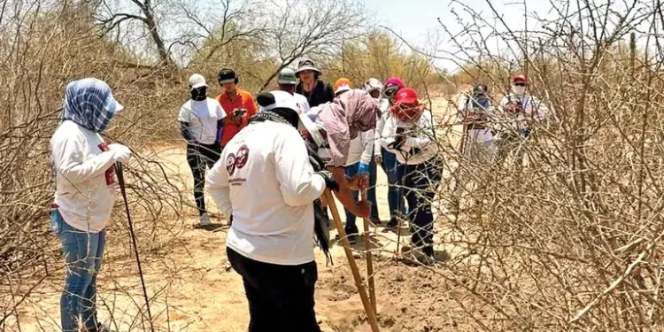 Hallan dos cuerpos y osamentas en fosas de Hermosillo; localizan numerosas prendas