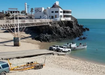 Expertos del CIRVA avalan cambios en polígonos de protección de vaquita marina