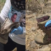 Encuentran Restos Óseos Dentro de Botas Tácticas en Pitiquito