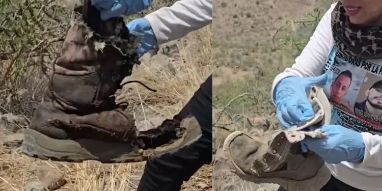 Colectivo Localiza Osamentas y Prendas de Vestir en Ejido Félix Gómez “El Dipo” en Pitiquito