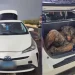 Detienen a Sujetos Llevando de Contrabando a Mexicano Dentro de Cajuela de Auto en Arizona