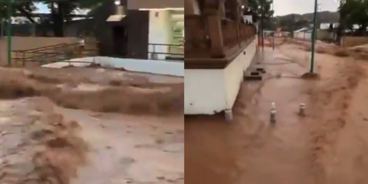 Lluvias en Nogales Dejan Daños Materiales e Inundaciones; La Precipitación Acumulada Fue de 42mm