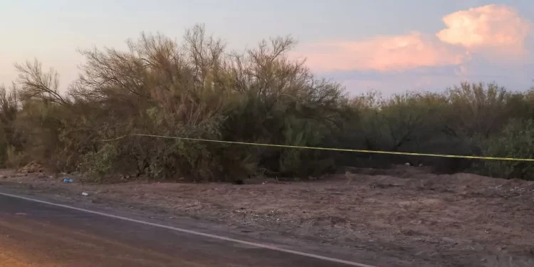 Asesinato en Sonora es feminicidio infantil múltiple: Tejiendo Redes Infancia