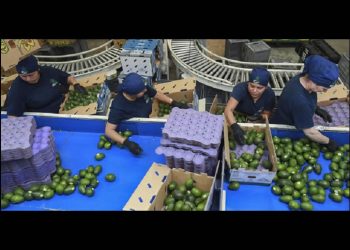 Rechazan empresarios locales intención de EE UU de aplicar aranceles a productos mexicanos